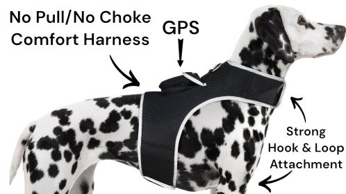 Waterproof GPS Tag Pet Tracker Realtime Security Surveillance System Size:XL