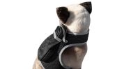Enhanced Waterproof Tag Pet Tracker Mini Realtime GPS Tracking Device Size:XS