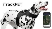 Waterproof GPS Tag Pet Tracker Realtime Security Surveillance System Size:XL