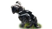 Pocket GSM GPRS GPS Pet Tracking Tag Waterproof Security Surveillance Size:L